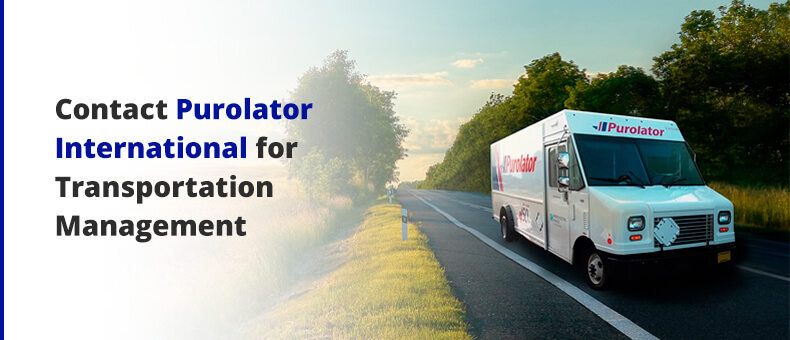 Contact Purolator International for Transportation Management